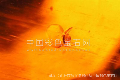 包裹体,中国彩色宝石网