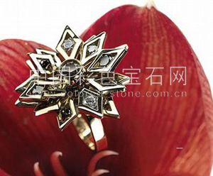 珠宝戒指,中国彩色宝石网