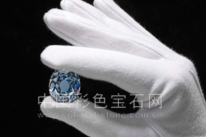 维特斯巴士蓝钻、钻石、拍卖记录,Wittelsbach Diamond