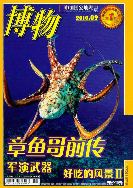 欧泊,澳宝,彩色宝石网